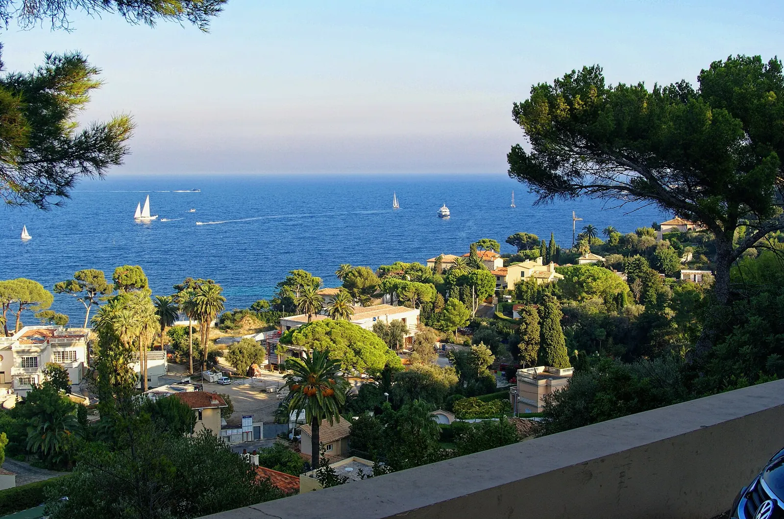Vue sur les pins, les villas et la mer au Cap Ferrat